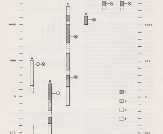 Fig_12