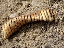 04_Boeslunde_guldspirale