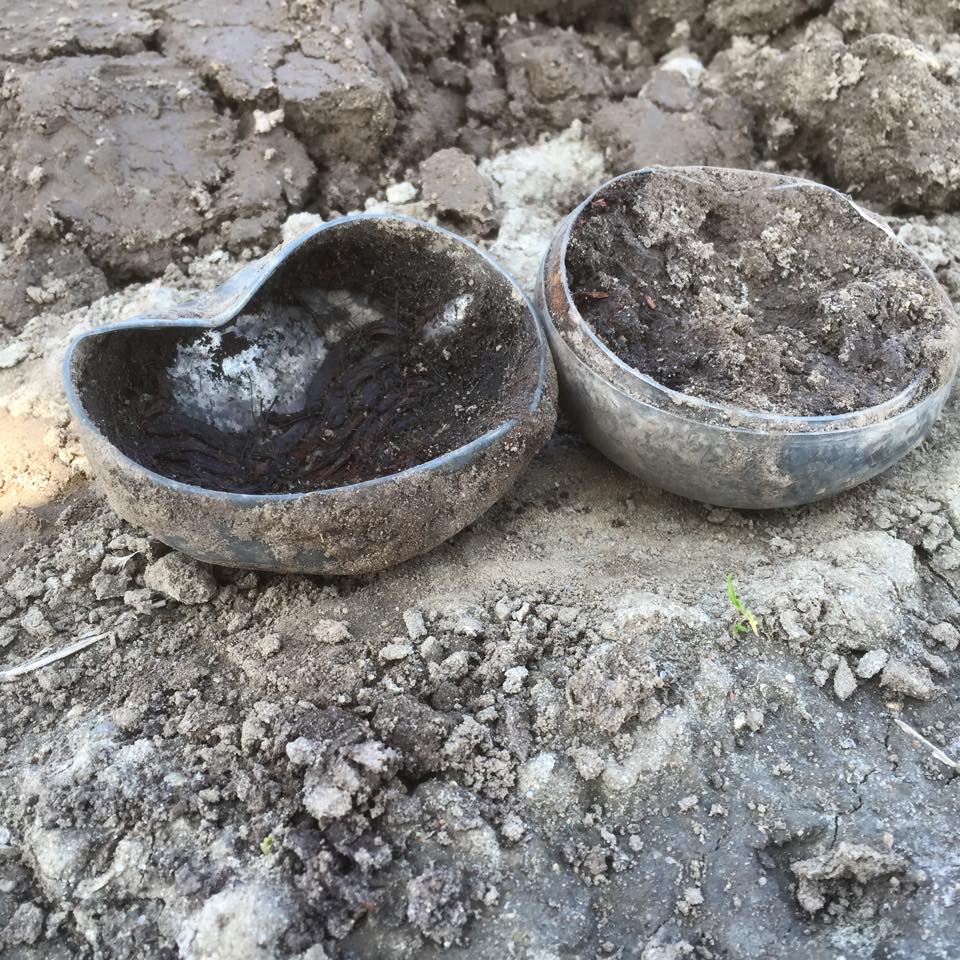 11133742 868413989882374 884849981023207173 n