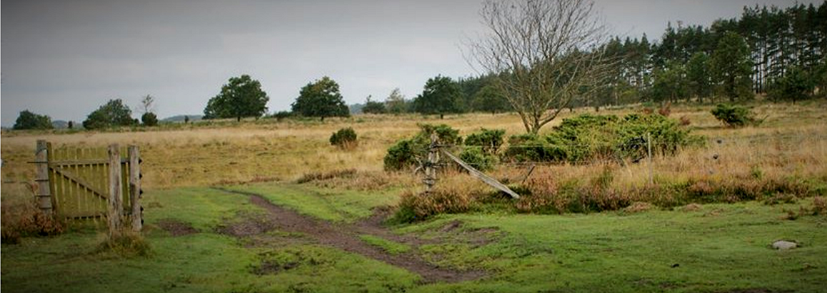 jylland 01