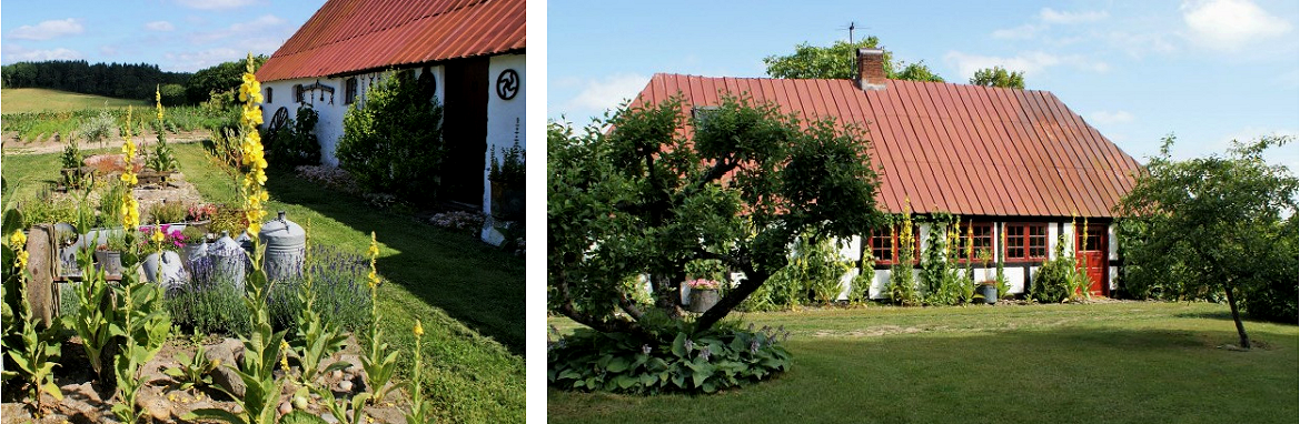 jylland 02